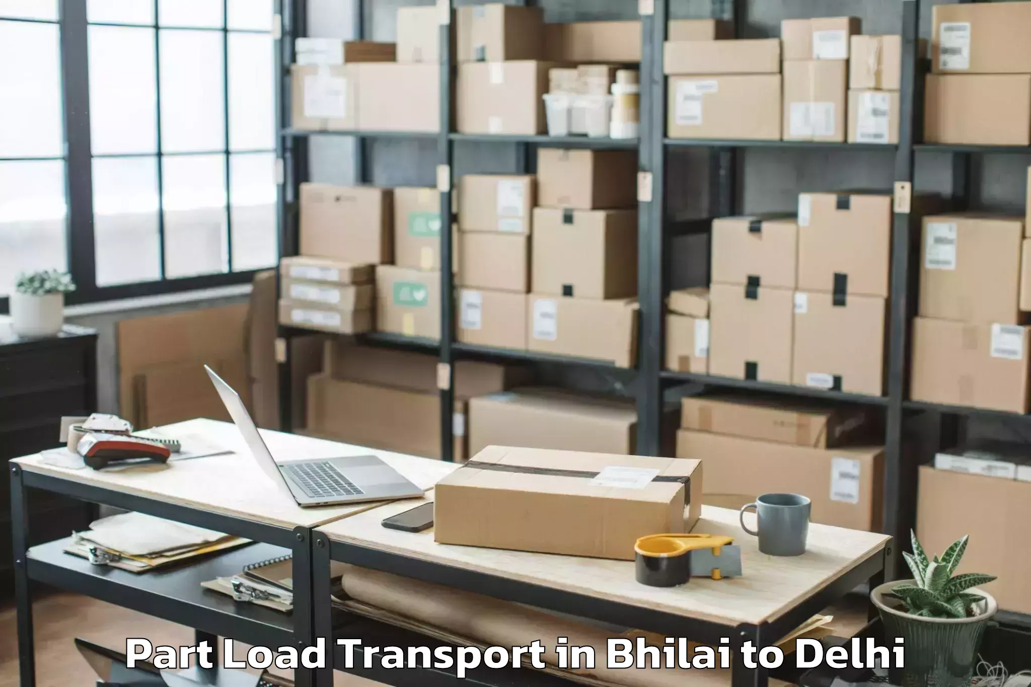 Professional Bhilai to Parsvnath Mall Akshardham Part Load Transport